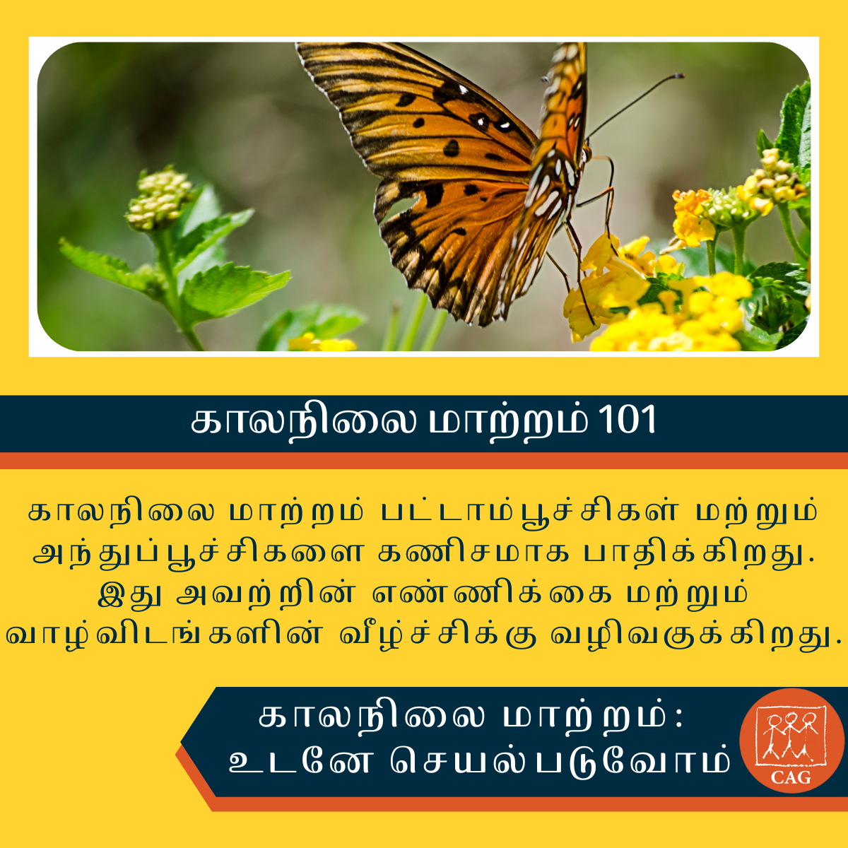 Climate Change Impact On Butterfly Population Cag